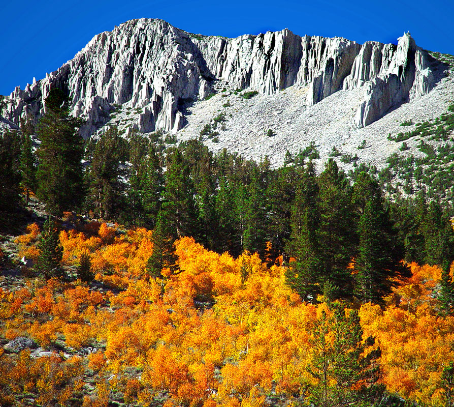 Fall High Sierras CA