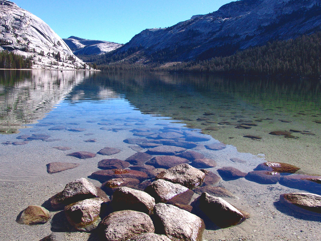 Ellery Lake Yosemite