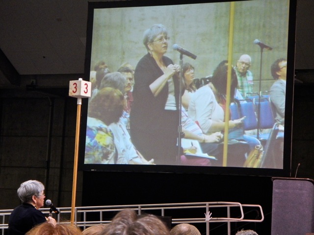 Pam Fine describes local Imagine No Malaria campaign
