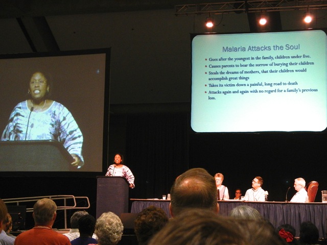 Rose Farhat explains how malaria attacks more than the just body