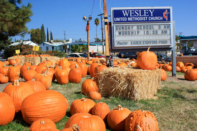 Wesley UMC Pumpkin Patch