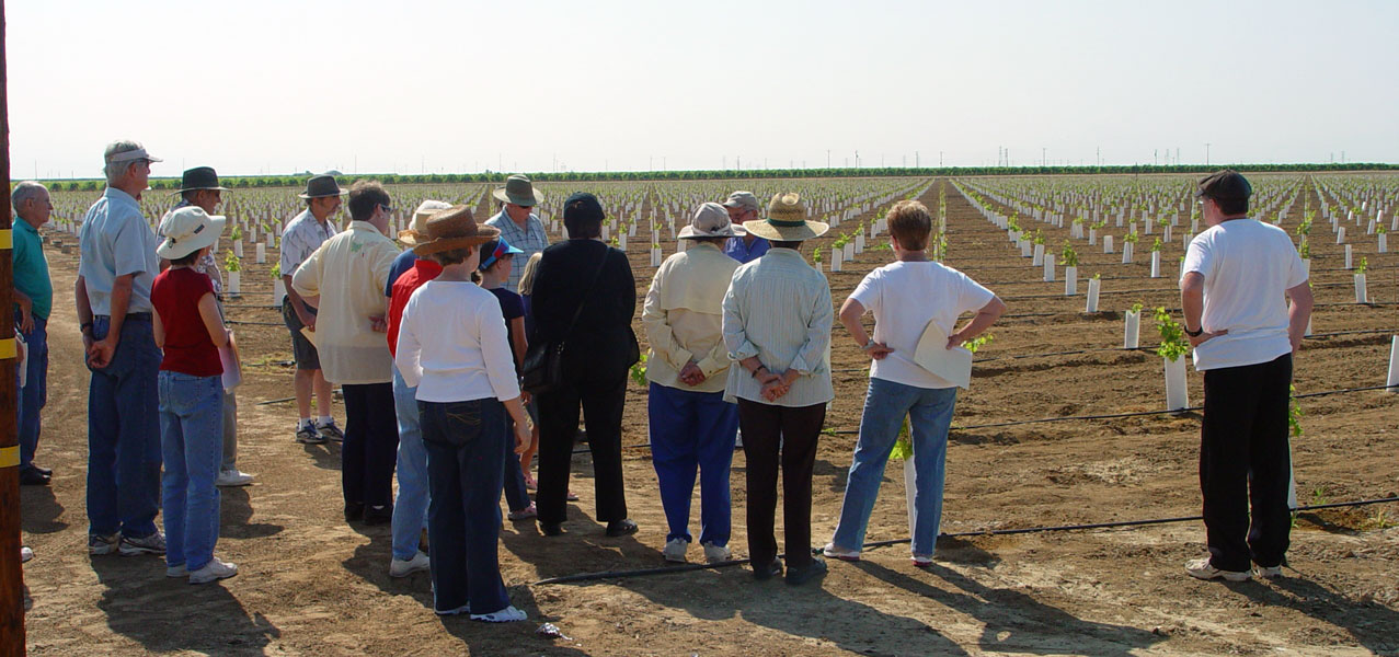 Third stop: recently planted vineyard
