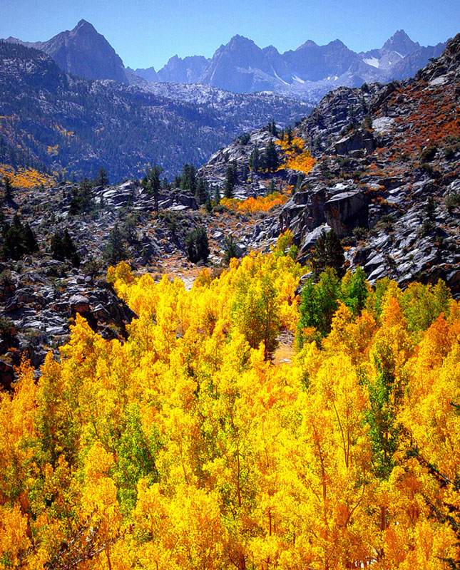 Above Bishop, CA