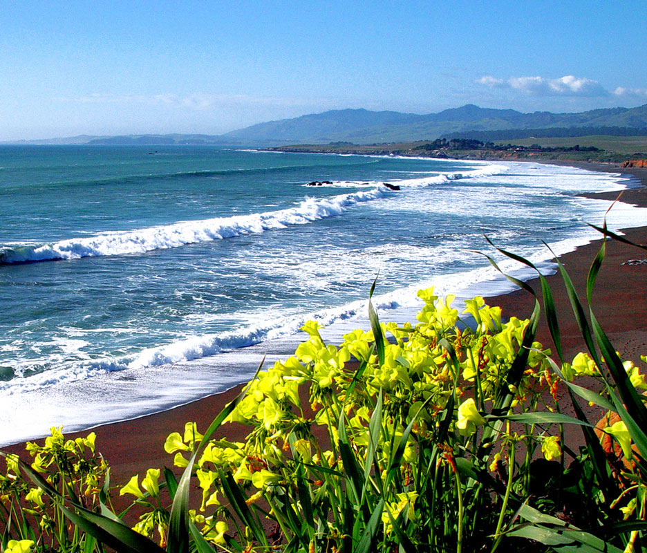 Cambria CA