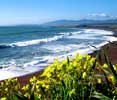 Cambria CA